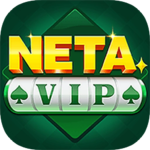 Neta VIP logo